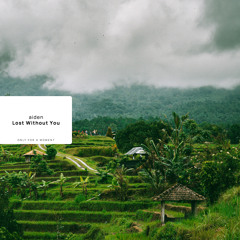 Lost Without You