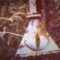 bill's lament (prod. 1mayhem)