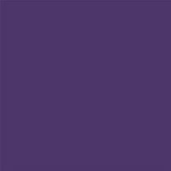 FORWARD #2 Frau Levi - Purple is the new black