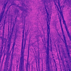 Wald