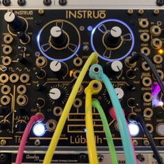 20210131 Cherry Blossoms In January