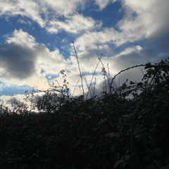 I looked at it and i winced