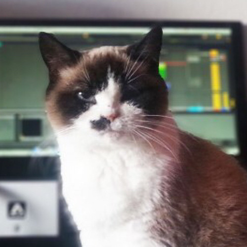 Amour Plastique, no beat [that french tiktok song]