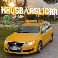 Rättvik 2025          #Rättvik #Krusbärsligan