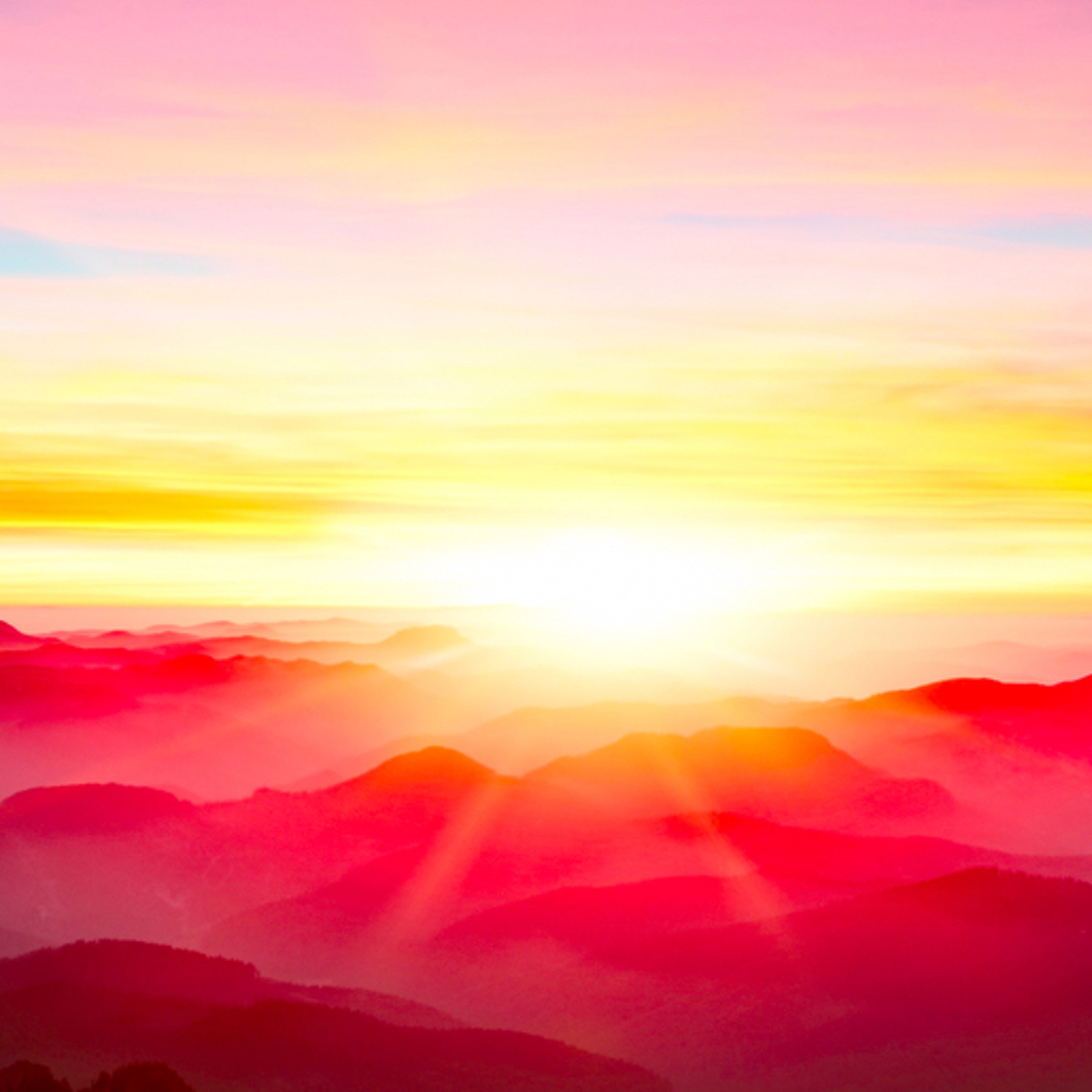 Steepo's Sunrise episode artwork