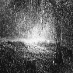 Rain (D - 2)