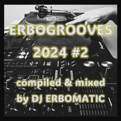 ERBOGROOVES 2024 #2 (compiled & mixed by DJ ERBOMATIC)