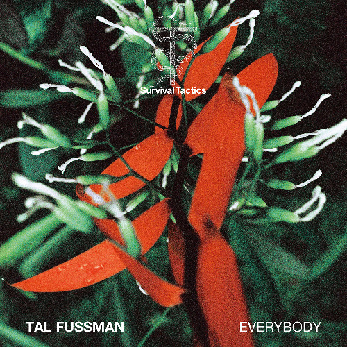 Tal Fussman – Everybody [Snippet]