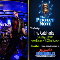 The Perfect Note  The Catsharks-John K  The Catsharks