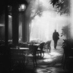 Moody Morning | DOWN