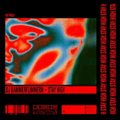DJ KAMMERFLIMMERN - STAY HIGH