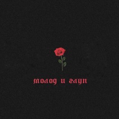 Azeri Bass KaVKaZ Remix Sloved | TikTok