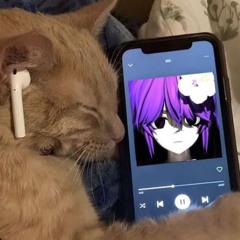 для драки с собакой за компьютер