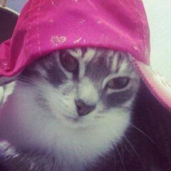 Dung Yeu Nua Em Met Roi remix