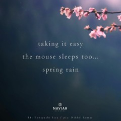 haiku #530: taking it easy / the mouse sleeps too... / spring rain