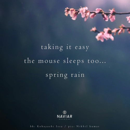 haiku #530: taking it easy / the mouse sleeps too... / spring rain