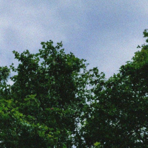 0325 Ttn 005