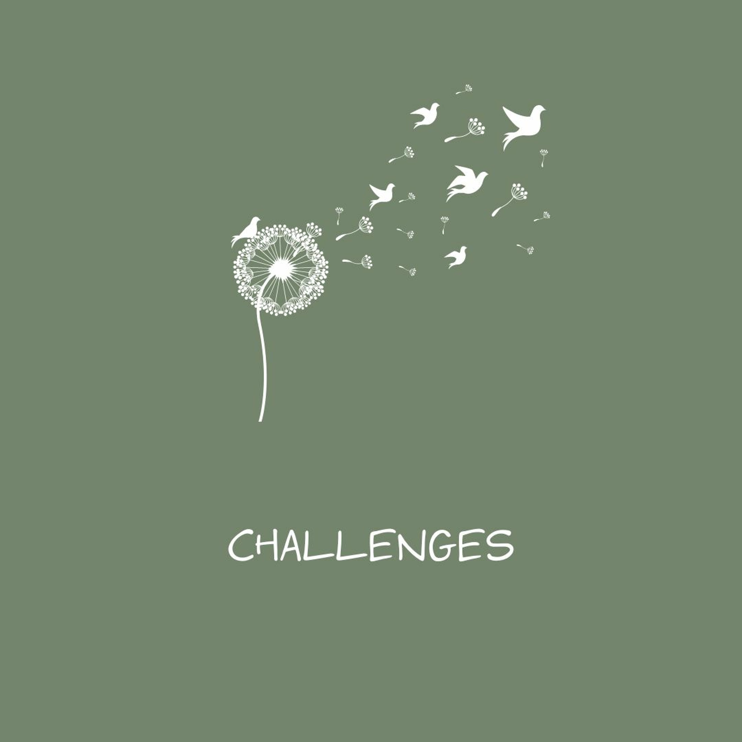 Episode 11: Challenges Episode 11: Challenges