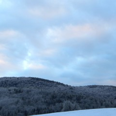 Gray Day Way