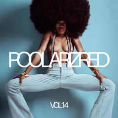 POOLARIZED Vol.14 by MichaelV