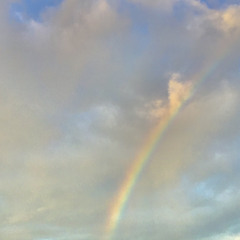 Brainbow
