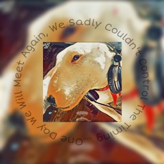 ♡ 𝙸𝚗 𝙼𝚎𝚖𝚘𝚛𝚢 𝙾𝚏 𝙼𝚢 𝙱𝚎𝚕𝚘𝚟𝚎𝚍 𝙲𝚕𝚘𝚞𝚍! ♡