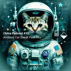 Chitra Podcast #15 Ambient Cat Sneak Peek Mix