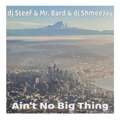 dj Steef & Mr. Bard & dj ShmeeJay - Ain't No Big Thing