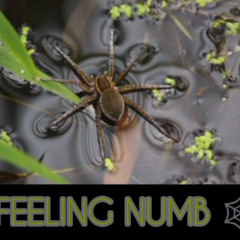 DCB GU$H- FEELING NUMB (PROD.DRUMDUMMIE)