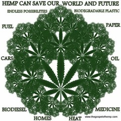 Trial & Fire Dub MIX 1 Douwe & Murdi 2021