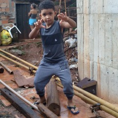 PROIBIDA DOS CRIAS 005 - DJ LV MDP  PH DA SERRA - DJ ARTHUZIN