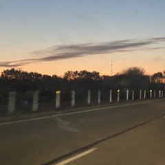 Adele Song Sung by My Sick Sunday