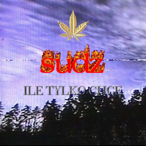 ILE TYLKO CHCE