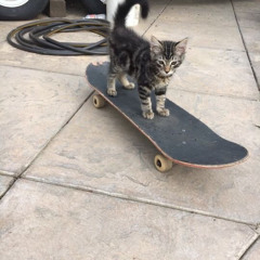 its only the police, that ever come looking for you