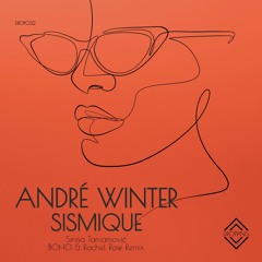 André Winter - Sismique (Sinisa Tamamovic Remix)