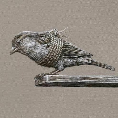 Chân Pháp - Không Ngay Lập Tức - 07-05-2017