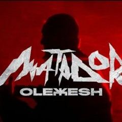 Matador-Olexesh RMX