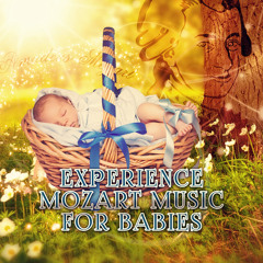 String Quartet No. 23 in F Major, K. 590: III. Menuetto – Allegretto (Flute Harp Version)