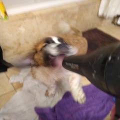 wchcrftchmst w/ mayh3mp //( ﾟ Дﾟ) // (OsCar)