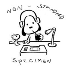 Non-Standard Specimen