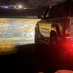 علي بن روغه