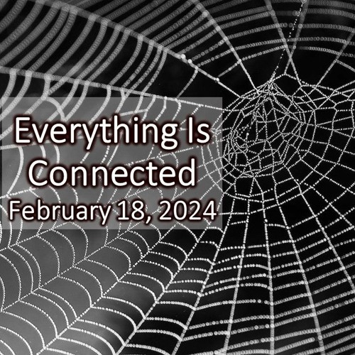“Everything is Connected: Looking In/Looking Out” Feb 18, 2024