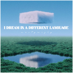 I DREAM IN A DIFFERENT LANGUAGE [LUTTRELL / SULTAN + SHEPARD / YOTTO...]