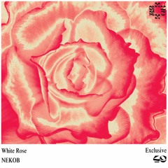 NEKOB - White Rose