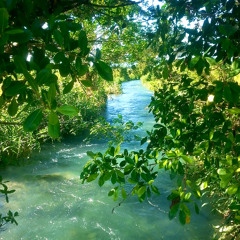 EARTH SOUND - HOUR 1