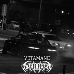 TROUBLE IN THE STREETS (feat. VETAMANE)
