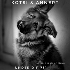 Kotsi & Ahnert UNDER DIP Ep. 731 Melodic House & Techno (123bpm)