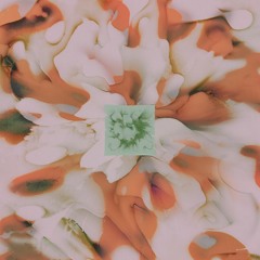 This Time, The Last Time