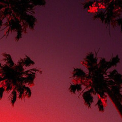 Palm Trees