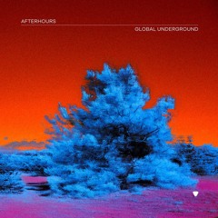 Global Underground: Afterhours 9 - (Preview)